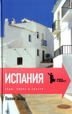 Полли Эванс Испания. Горы, херес и сиеста обложка книги