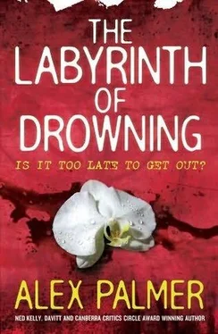 Alex Palmer The Labyrinth of Drowning обложка книги