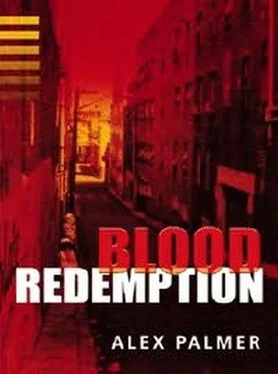 Alex Palmer Blood Redemption обложка книги