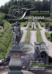 Андрей Гусаров - Гатчина. От прошлого к настоящему. История города и его жителей