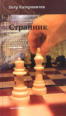 Петр Катериничев Странник (Любовь и доблесть) обложка книги