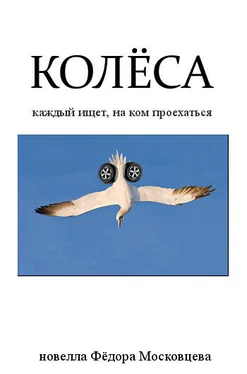 Федор Московцев Колёса обложка книги