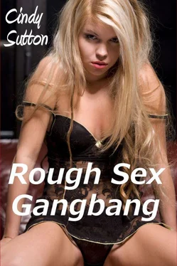 Cindy Sutton Rough Sex Gangbang ( обложка книги