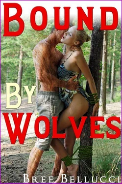 Bree Bellucci Bound By Wolves обложка книги