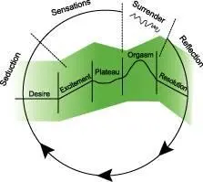 Whipple and BrashMcGreers circular model of female sexual response shows how - фото 7