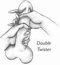 Double TwisterSame as the Twister but use both hands Now twist together in - фото 101