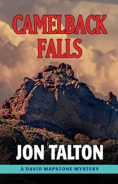 Jon Talton Camelback Falls обложка книги