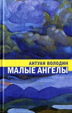 Антуан Володин Малые ангелы обложка книги