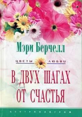 Мэри Берчелл В двух шагах от счастья обложка книги