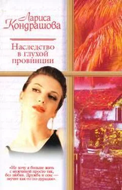 Лариса Шкатула Наследство в глухой провинции обложка книги