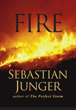 Sebastian Junger Fire обложка книги