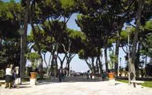 В парке Савелло Продолжаем идти по виа ди Санта Сабина via di Santa Sabina - фото 100