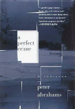 Peter Abrahams A Perfect Crime обложка книги