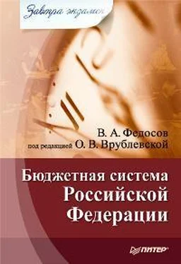 Виталий Федосов Бюджетная система Российской Федерации обложка книги