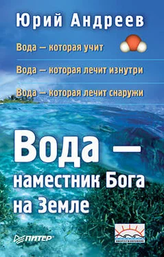 Юрий Андреев Вода – наместник Бога на Земле обложка книги