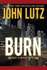 John Lutz - Burn