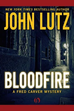 John Lutz Bloodfire обложка книги