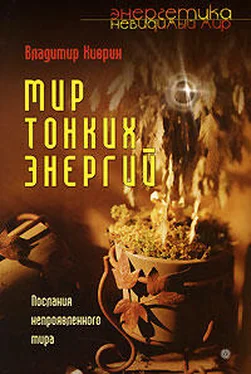 Владимир Киврин Мир тонких энергий. Послание непроявленного мира обложка книги