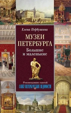 Елена Первушина Музеи Петербурга. Большие и маленькие обложка книги