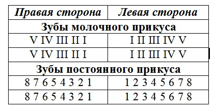 У млекопитающих смена зубов и рост зубного ряда происходит спереди назад - фото 3