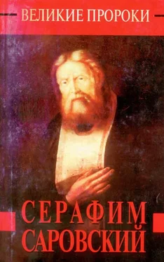 Наталья Горбачева Серафим Саровский обложка книги