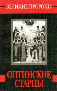 Наталья Горбачева Оптинские старцы обложка книги