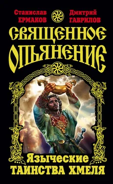 Дмитрий Гаврилов Священное опьянение. Языческие таинства Хмеля обложка книги