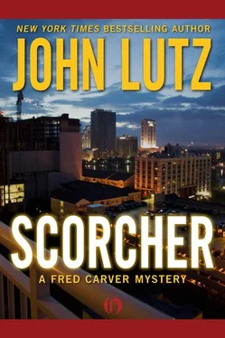 John Lutz Scorcher обложка книги