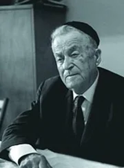 Шмуэль-Йосеф Агнон - Этрог