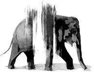 CHAPTER 1 BEDBUG BLUES 1 those suffering from parasitosis Nancy C Hinkle - фото 76