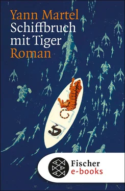 Yann Martel Schiffbruch mit Tiger обложка книги