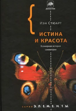 Иэн Стюарт Истина и красота. Всемирная история симметрии. обложка книги