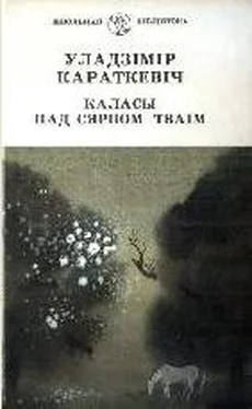 Уладзімір Караткевіч Каласы пад сярпом тваiм. Кнiга I обложка книги