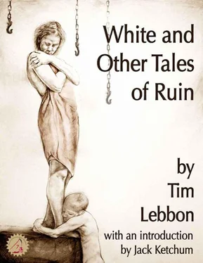 Tim Lebbon White and Other Tales of Ruin обложка книги