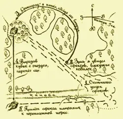 Ну не могла же в конце концов сигналить сфексу за многие десятки а может - фото 112