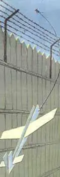 Тут надо сказать что попытки перебросить за зону записку с камешком строжайшим - фото 124