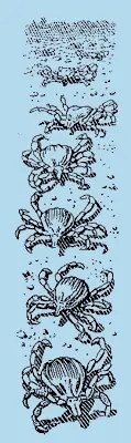 Моя иллюстрация к книге П И Мариковского доказавшего что иксодовые клещи - фото 331