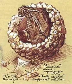 Вскрытый кокон муравьиного льва А потом мне несказанно повезло Однажды я - фото 442