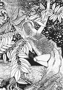 А иные незнакомые мне ранее ребята прочитав какието из моих книг или побывав - фото 490