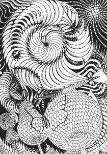 А иные незнакомые мне ранее ребята прочитав какието из моих книг или побывав - фото 491
