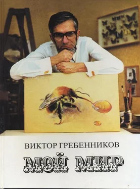 Виктор Гребенников Мой мир обложка книги