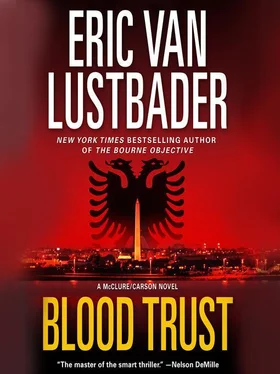 Eric Lustbader Blood Trust обложка книги