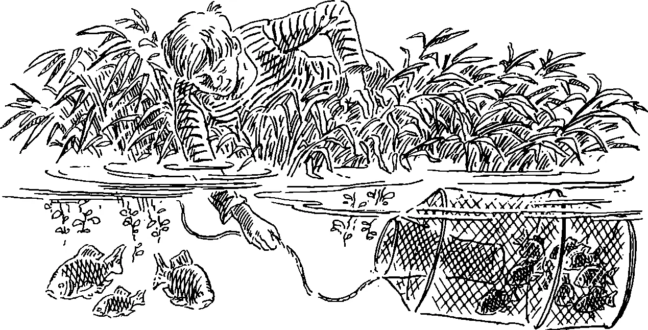 В Крыму между поселками Планерское и Щебетовка перегородили плотиной балку и - фото 16