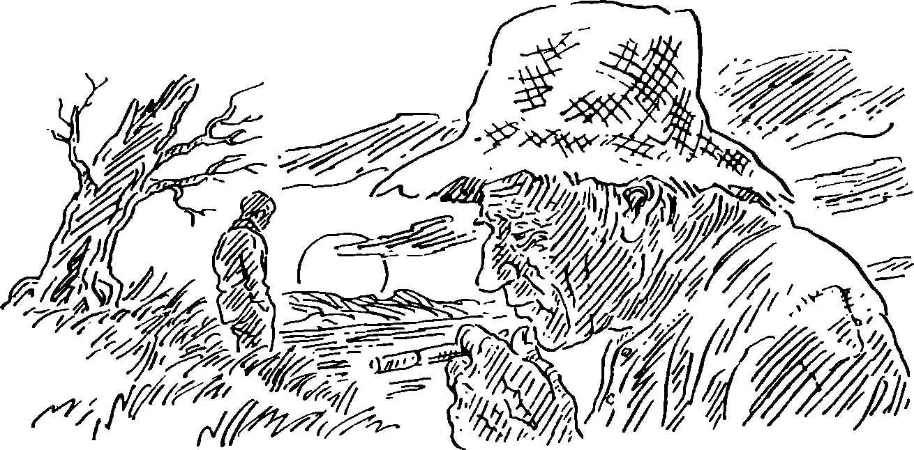 Слушай Коля А не закатиться ли нам сегодня на серьезную рыбалку Чтото - фото 20