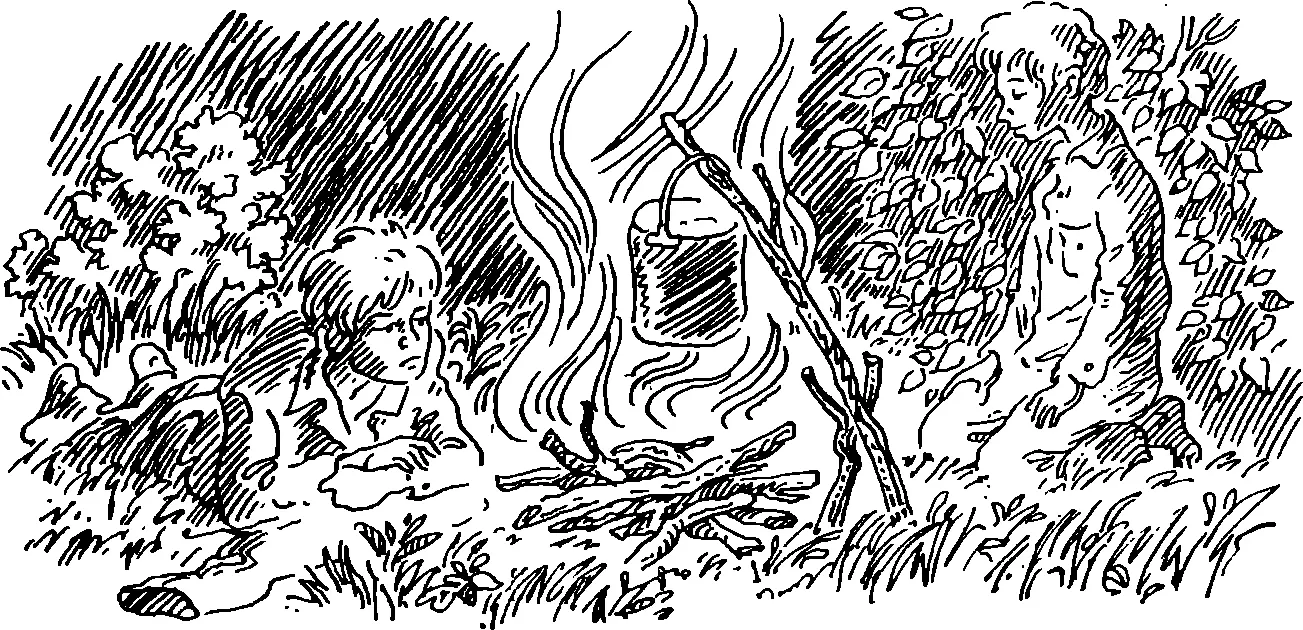 Никогда не пробовали ракитовый чай Хороший напиток Ни одна заварка не - фото 22