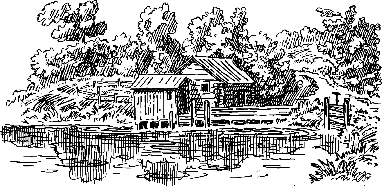 Вот и еще один день проструилась в лесных берегах моя речка Покша Завечерело - фото 30