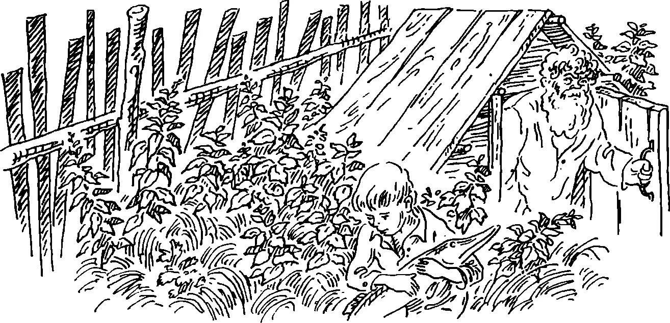 Первая моя щука Еще очень рано Солнце не взошло хотя и высветило уже вершины - фото 35