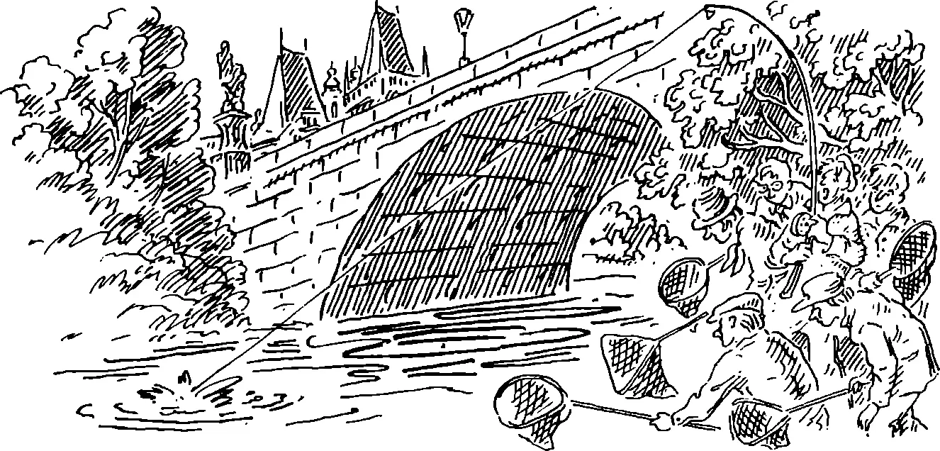 Весной Какое счастье что кроме рек на свете существуют еще пруды озера - фото 37