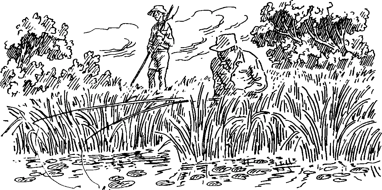 Этим летом както сидел я напротив села Фэлэштоака на берегу речушки Мяжлов - фото 44