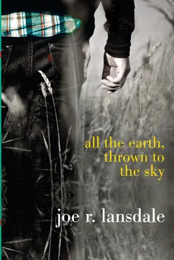 Joe Lansdale All the Earth, Thrown to the Sky обложка книги